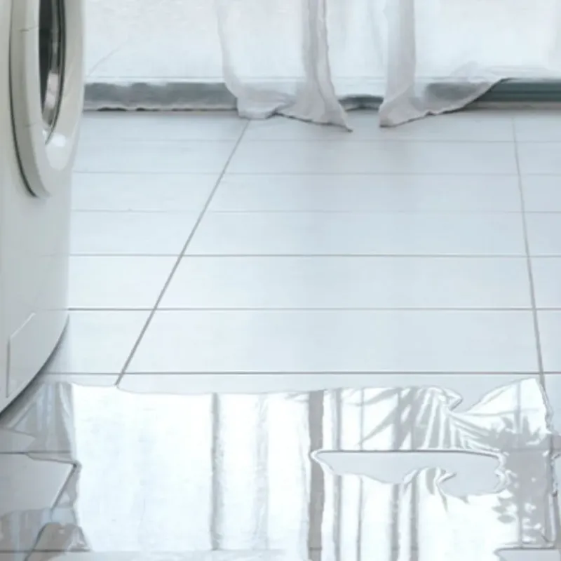 Appliance Leak Cleanup in Thomas County, KS
