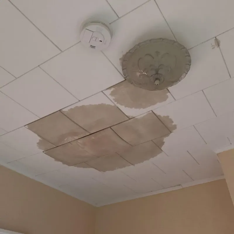 Ceiling Water Damage Repair in Thomas County, KS