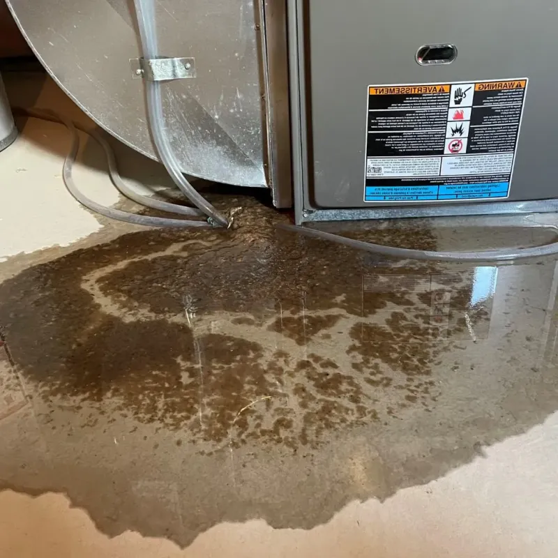 Pipe Burst and Leak Restoration in Thomas County, KS