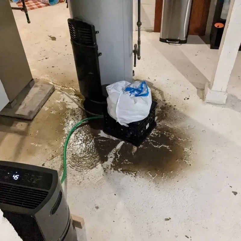Sewage Backup Cleanup Service in Thomas County, KS